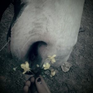 Meet your Posher, Shannon